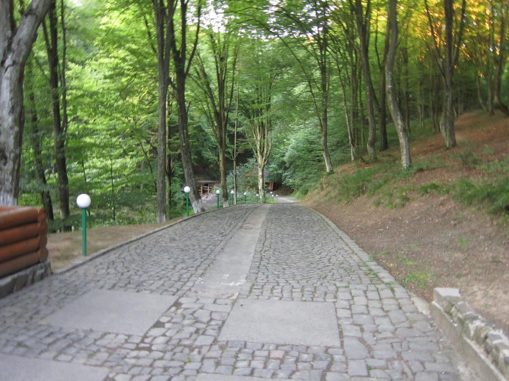 Quelle Polyana Polyana (Transcarpathia) Exterior foto