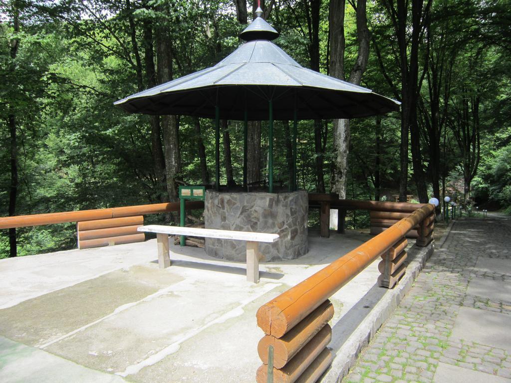 Quelle Polyana Polyana (Transcarpathia) Exterior foto