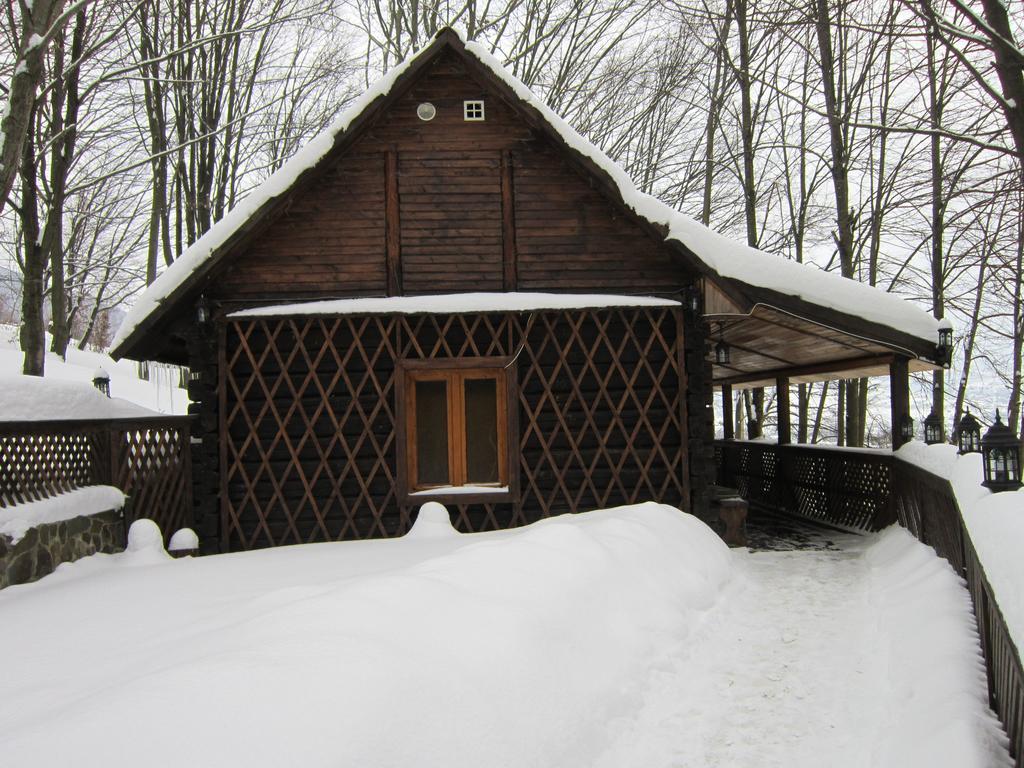 Quelle Polyana Polyana (Transcarpathia) Exterior foto